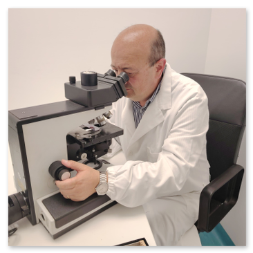Il Professor Alfonso Baldi medico chirurgo specializzato in anatomia patologica nel  laboratorio di Orchidea Lab a Roma mentre esamina dei campioni al microscopio