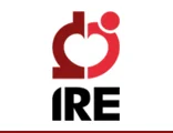 Logo  ufficiale dell'Istituto Nazionale Tumori Regina Elena di Roma (IRE) 